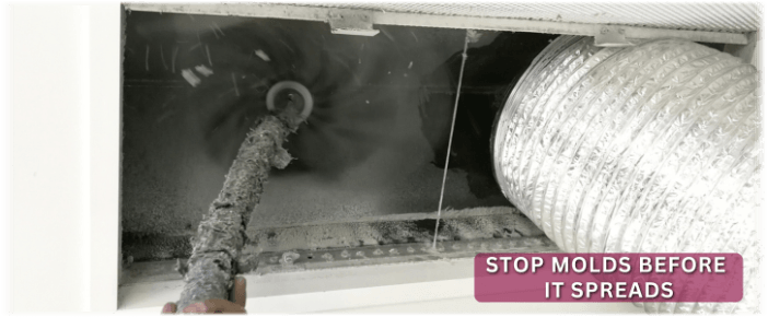 Air Duct Mold Removal in Washington DC