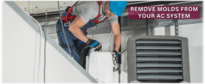 HVAC Mold Removal Washington DC